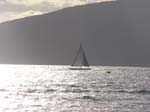 Lahaina Sail Boat